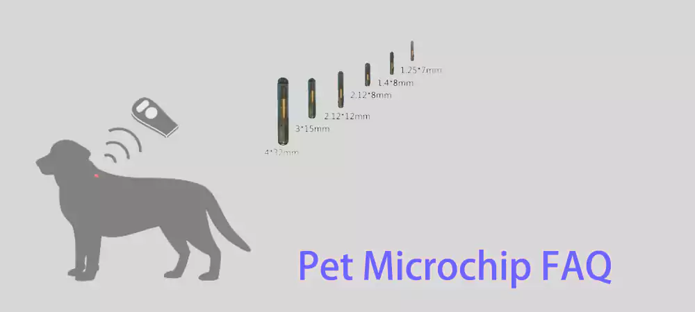 Impulso saldar Descubrimiento Preguntas frecuentes sobre microchips para mascotas: una lista bien  investigada - WXR